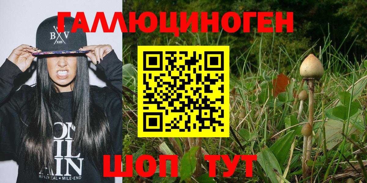 Татарск  Псилоцибиновые грибы ЛСД  Вход с VPN 
